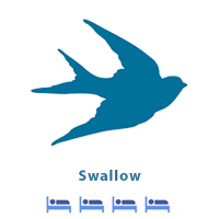 Swallow